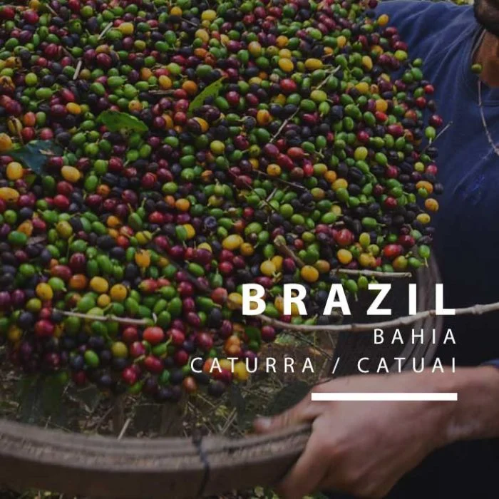 Brazil Bahia