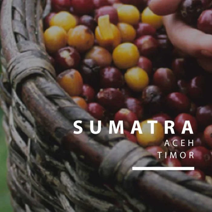 Sumatra Gayo Highland