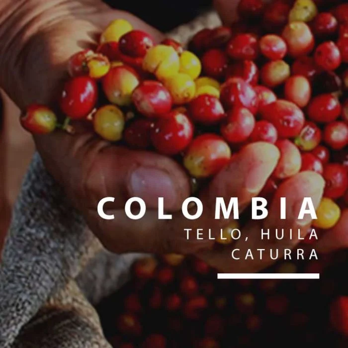 Colombia Tello Women Coffee Project