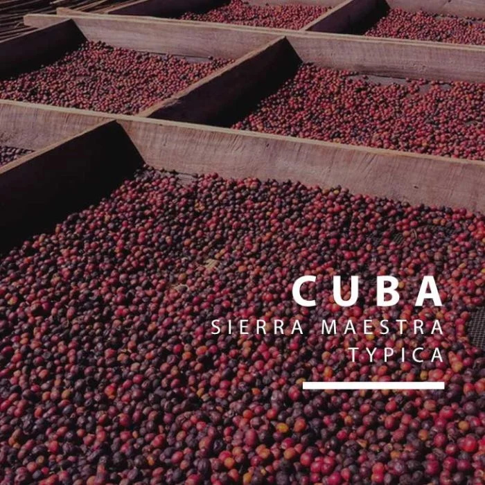 Cuba Serrano Lavado